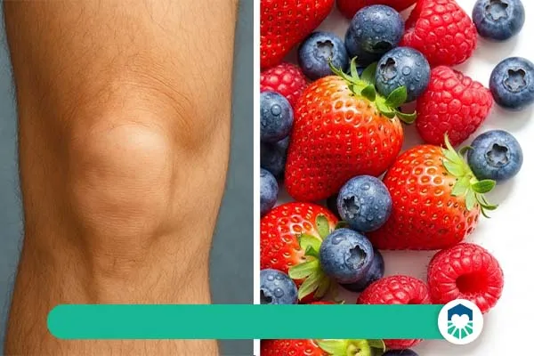 توت‌فرنگی، بلوبری و تمشک؛ بمب‌های آنتی‌اکسیدان | ایران طب مگ