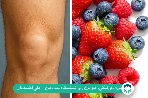 توت‌فرنگی، بلوبری و تمشک؛ بمب‌های آنتی‌اکسیدان | ایران طب مگ