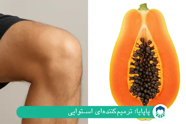 پاپایا؛ ترمیم‌کننده‌ای استوایی | ایران طب مگ