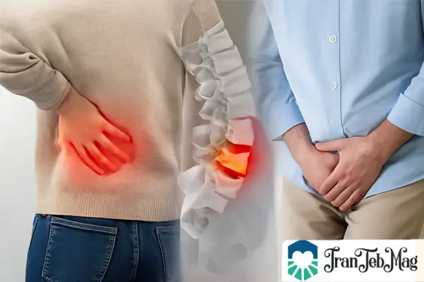 ارتباط آرتروزو دیسک کمر با کمر درد و تکرر ادرار | ایران طب مگ