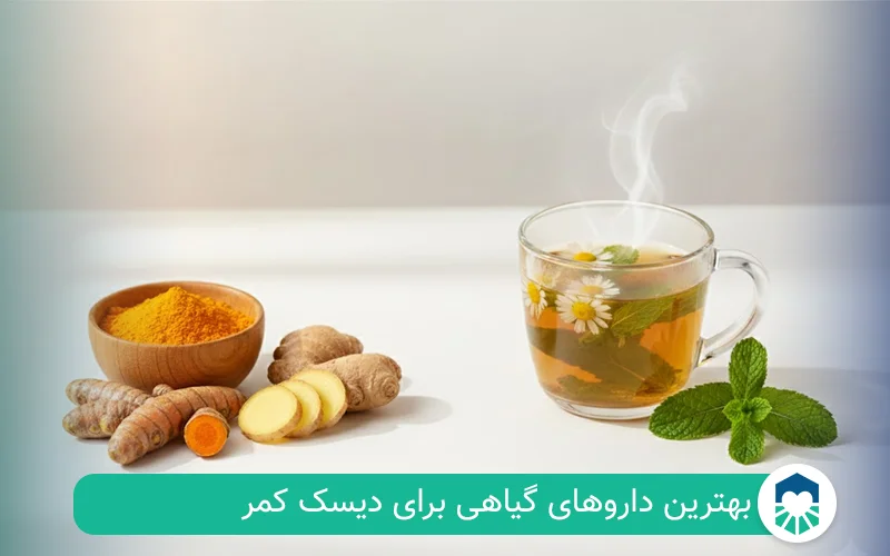 بهترین دارو گیاهی برای دیسک کمر | ایران طب مگ
