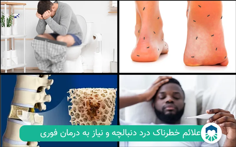 علائم خطرناک درد دنبالچه | ایران طب مگ