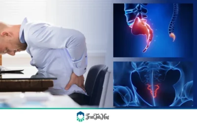 درد دنبالچه چیست؟ | ایران طب مگ